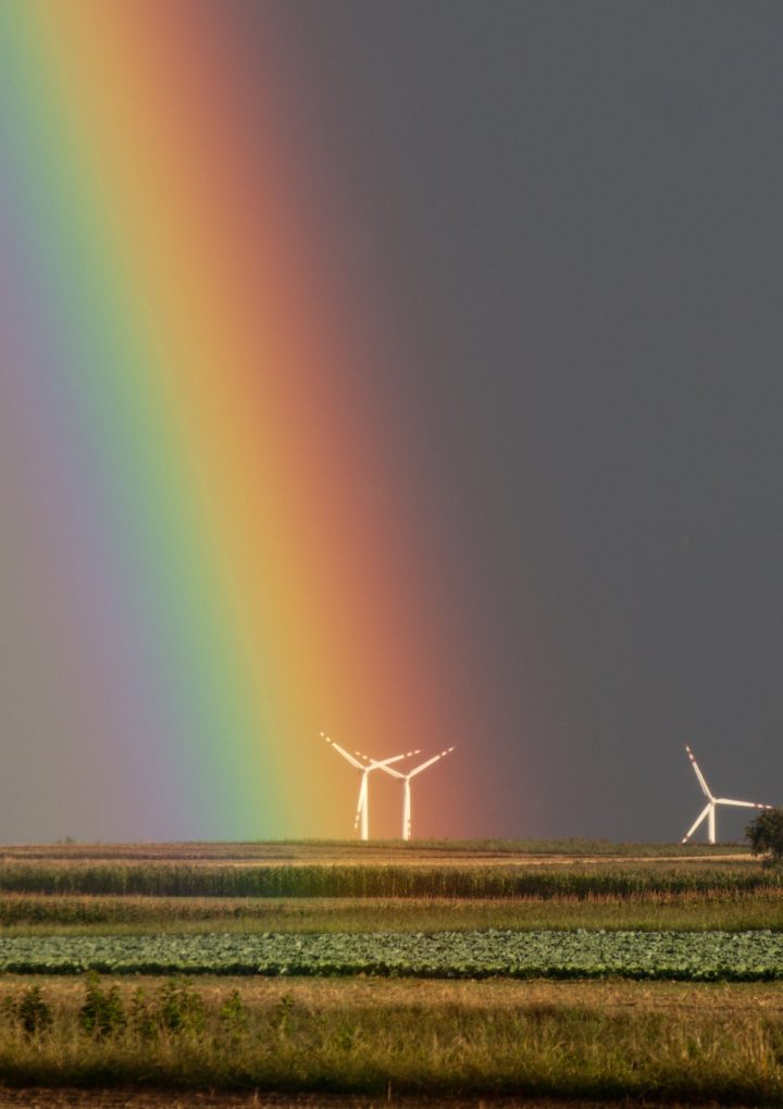 Wind-Energy Sector Gets $176 Billion Worth Of Crony Capitalism